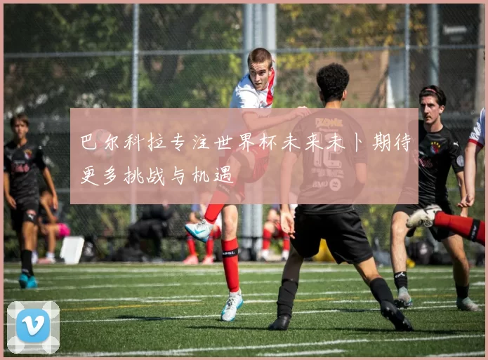 巴尔科拉专注世界杯未来未卜期待更多挑战与机遇